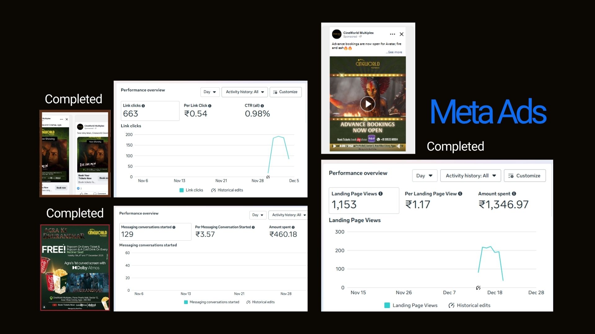 Meta Ads Campaign Analytics